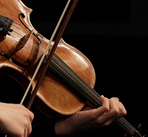 A professional violinist performing under soft lighting.