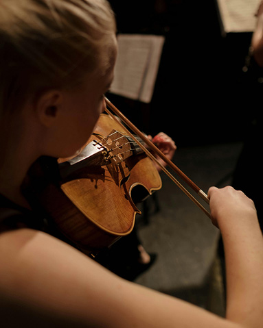 A violinist holding their instrument