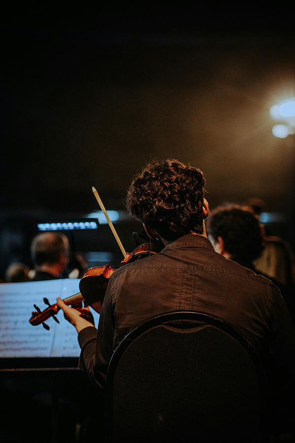 Back view of violinist during a live orchestral performance